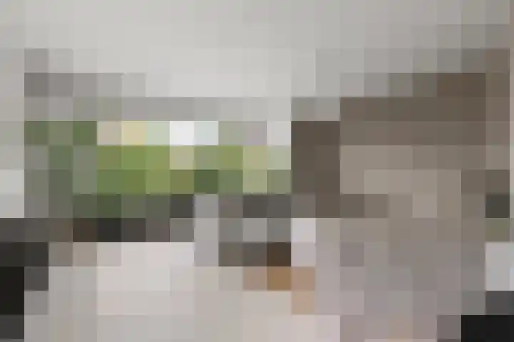 van Schaeck Mathonsingel 83 Nijmegen thumbnail 11