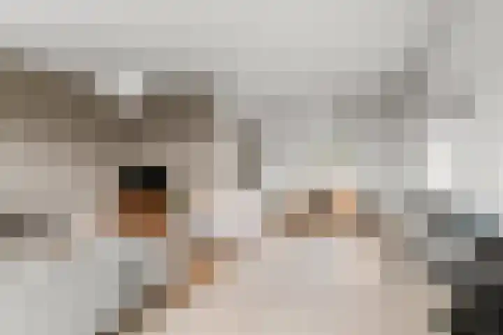 van Schaeck Mathonsingel 83 Nijmegen thumbnail 12