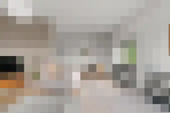 van Schaeck Mathonsingel 83 Nijmegen thumbnail 13