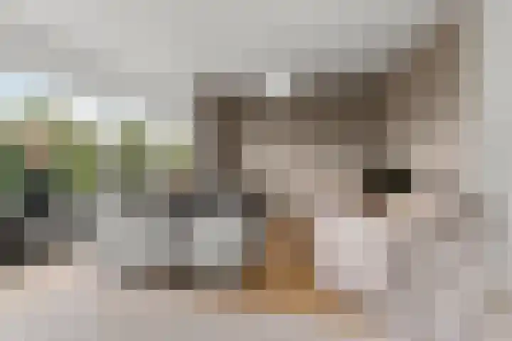 van Schaeck Mathonsingel 83 Nijmegen thumbnail 14