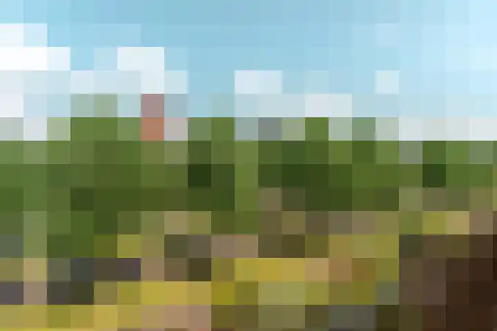 van Schaeck Mathonsingel 83 Nijmegen thumbnail 31