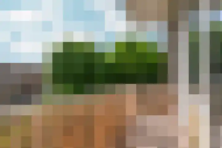 van Schaeck Mathonsingel 83 Nijmegen thumbnail 32