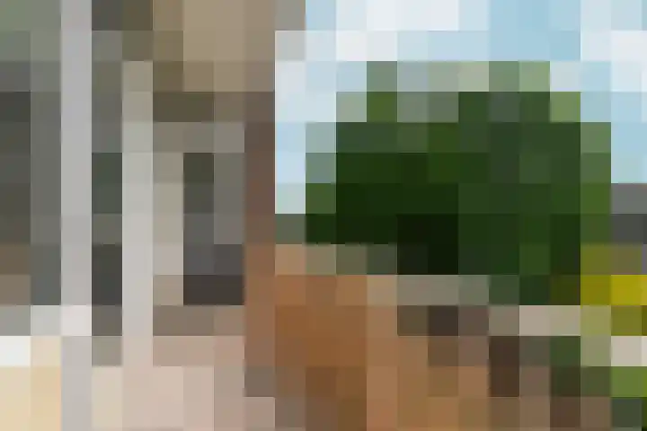 van Schaeck Mathonsingel 83 Nijmegen thumbnail 33