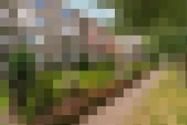 van Schaeck Mathonsingel 83 Nijmegen thumbnail 45