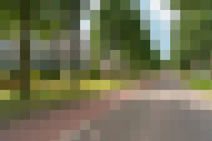 van Schaeck Mathonsingel 83 Nijmegen thumbnail 5