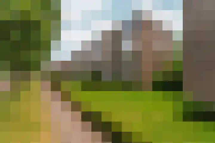van Schaeck Mathonsingel 83 Nijmegen thumbnail 7
