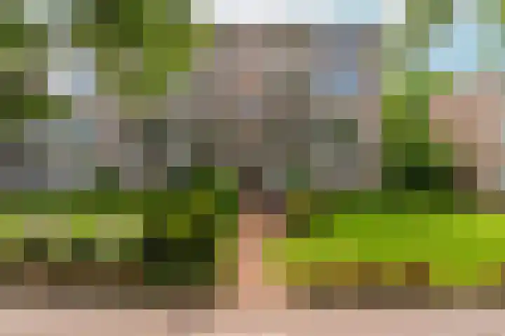 van Schaeck Mathonsingel 83 Nijmegen thumbnail 8