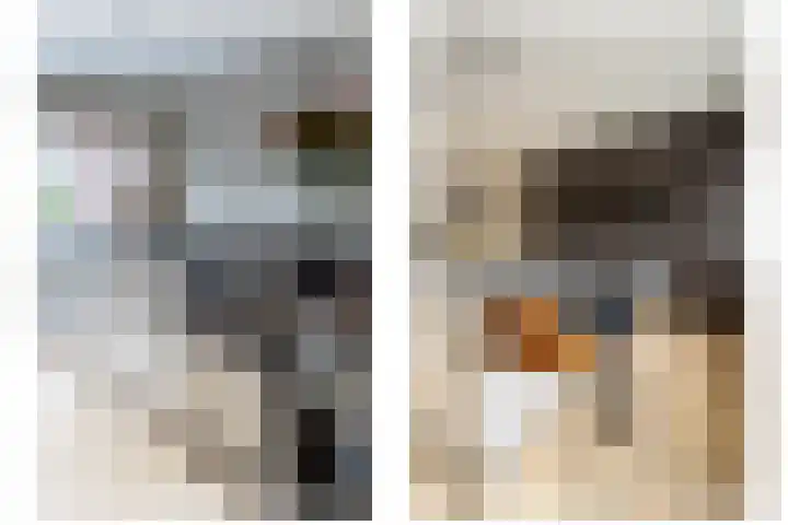 van Schagenhof 9 Ter Aar thumbnail 10