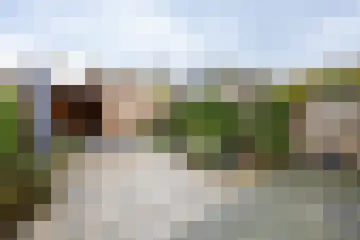 van Schagenhof 9 Ter Aar thumbnail 28
