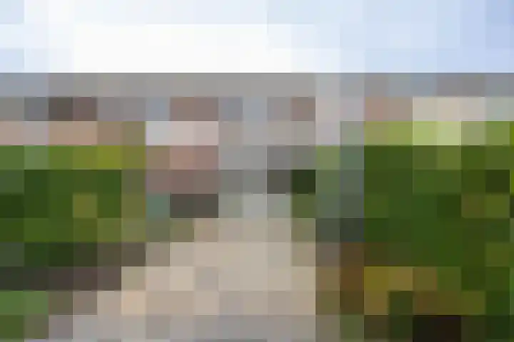 van Schagenhof 9 Ter Aar thumbnail 30
