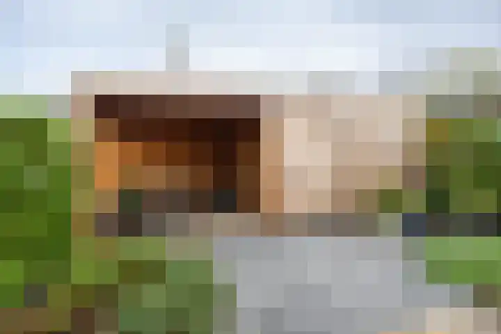 van Schagenhof 9 Ter Aar thumbnail 31