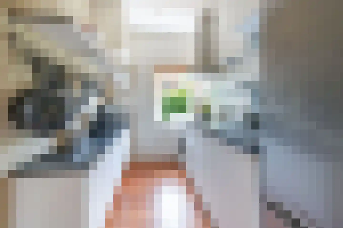 van Schagenstraat 1 A Voorburg thumbnail 12