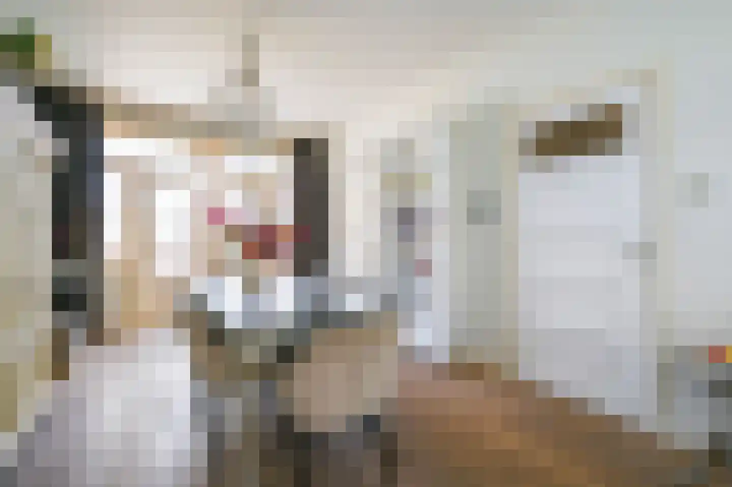 van Schagenstraat 9 A Voorburg thumbnail 10