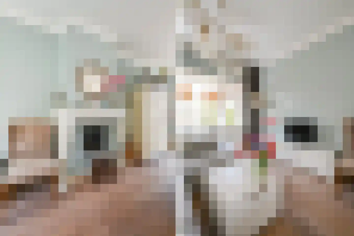 van Schagenstraat 9 A Voorburg thumbnail 12