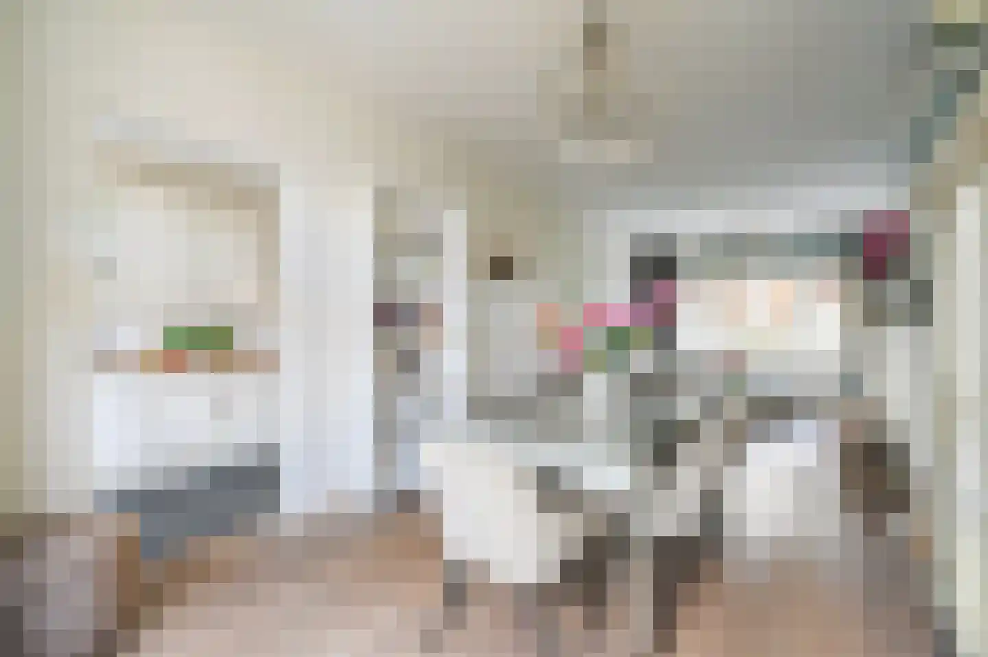 van Schagenstraat 9 A Voorburg thumbnail 16