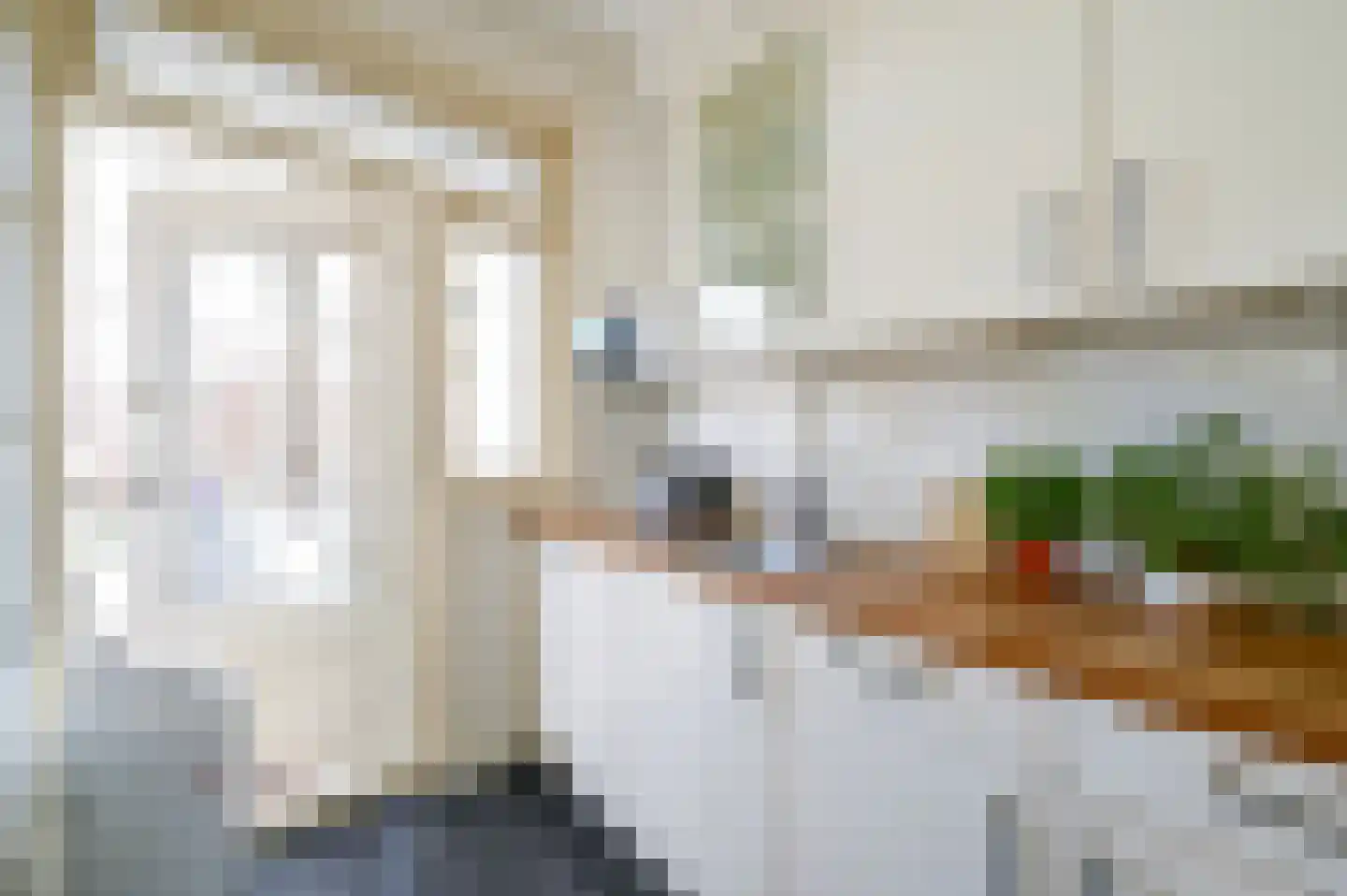 van Schagenstraat 9 A Voorburg thumbnail 20