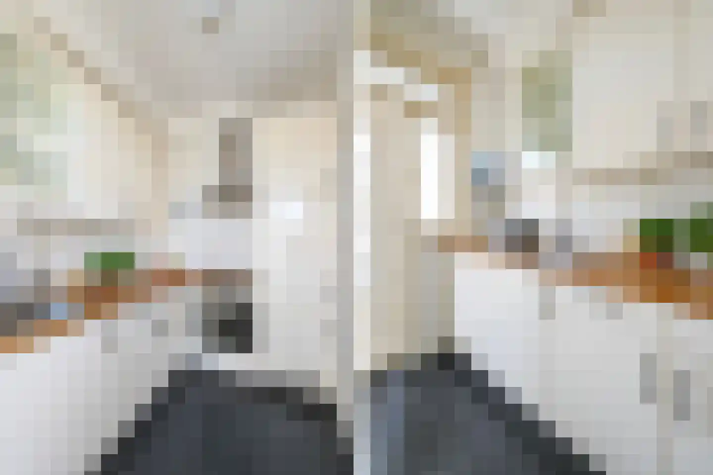 van Schagenstraat 9 A Voorburg thumbnail 21
