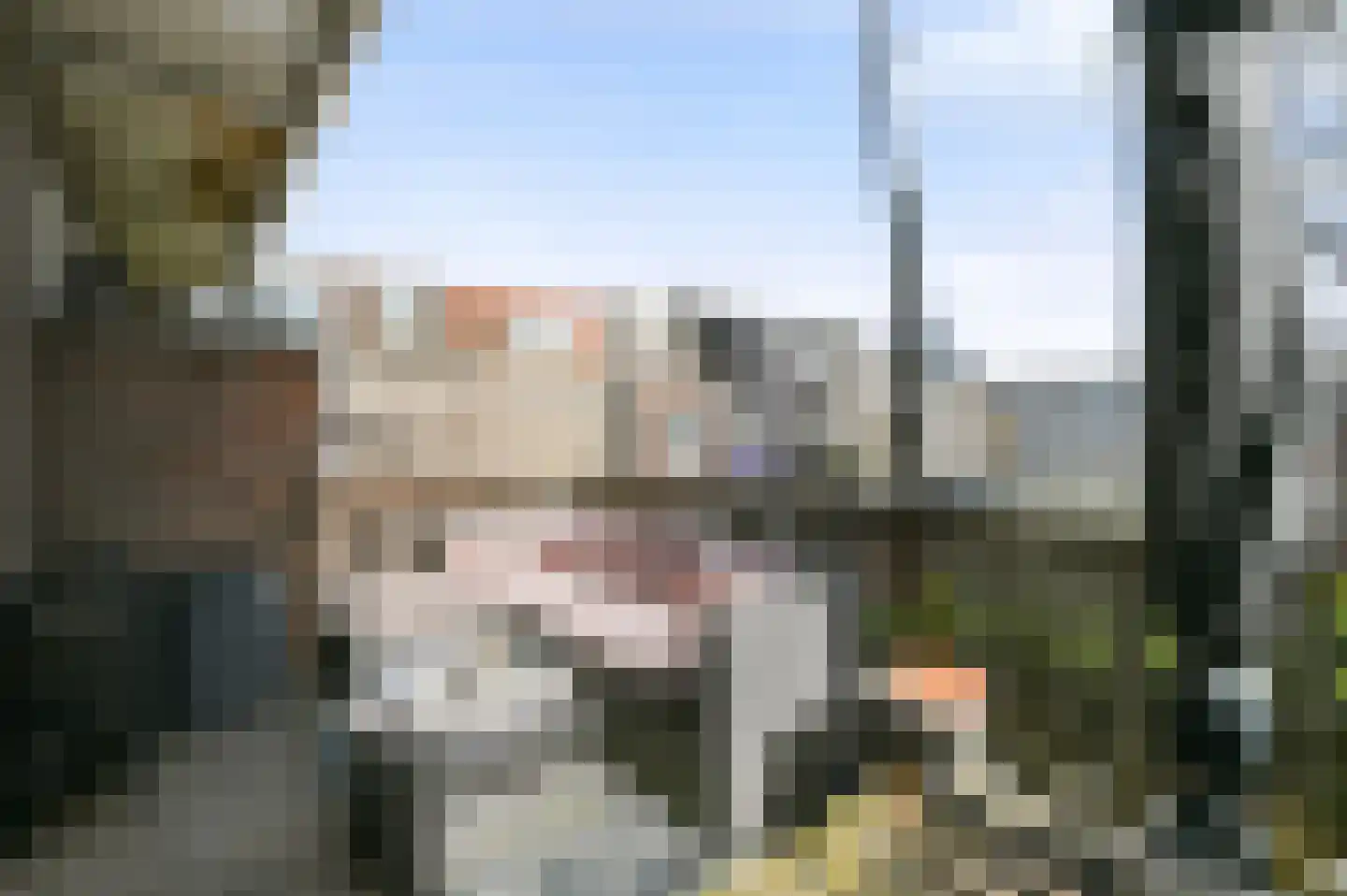 van Schagenstraat 9 A Voorburg thumbnail 24