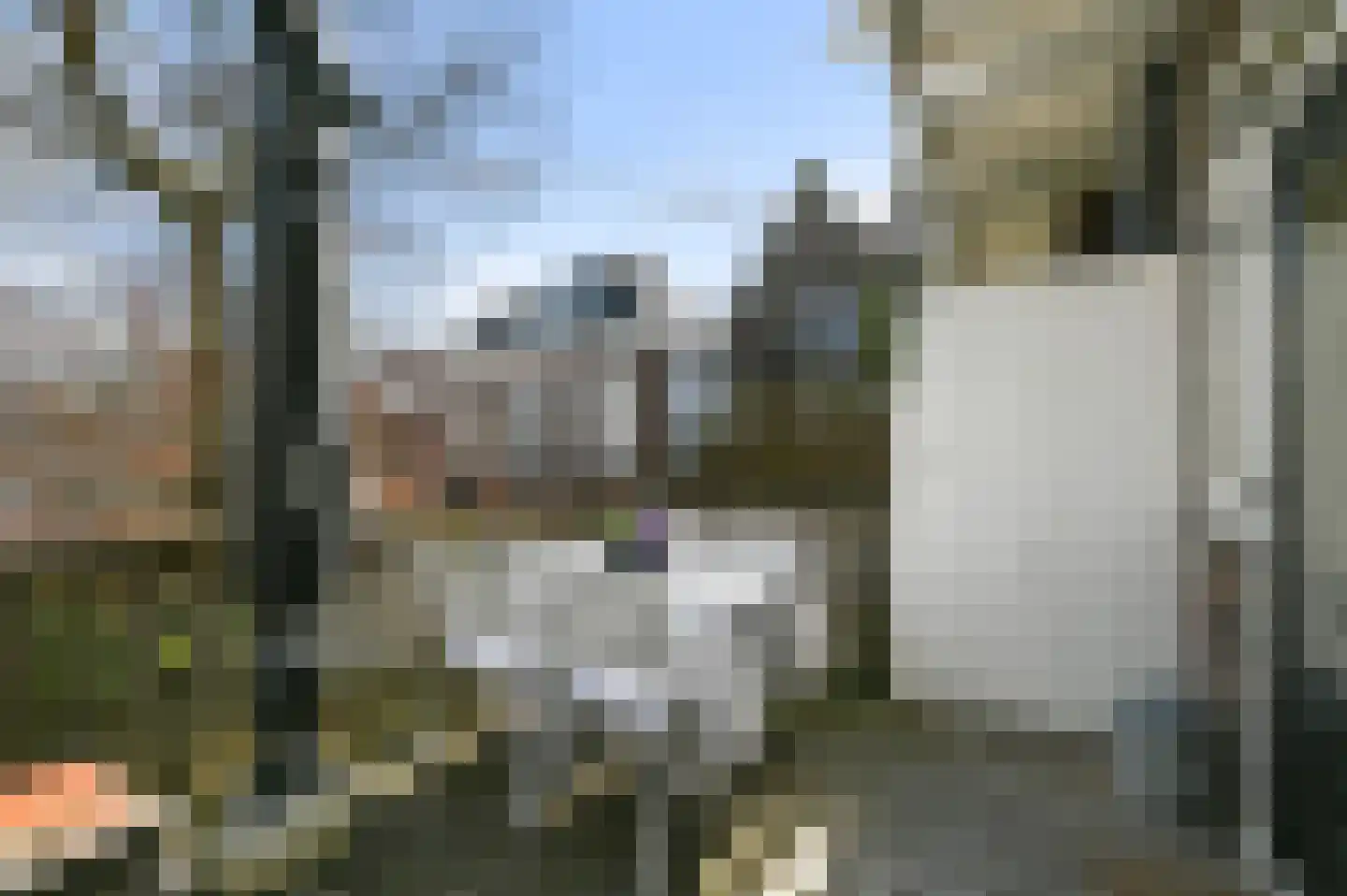 van Schagenstraat 9 A Voorburg thumbnail 25