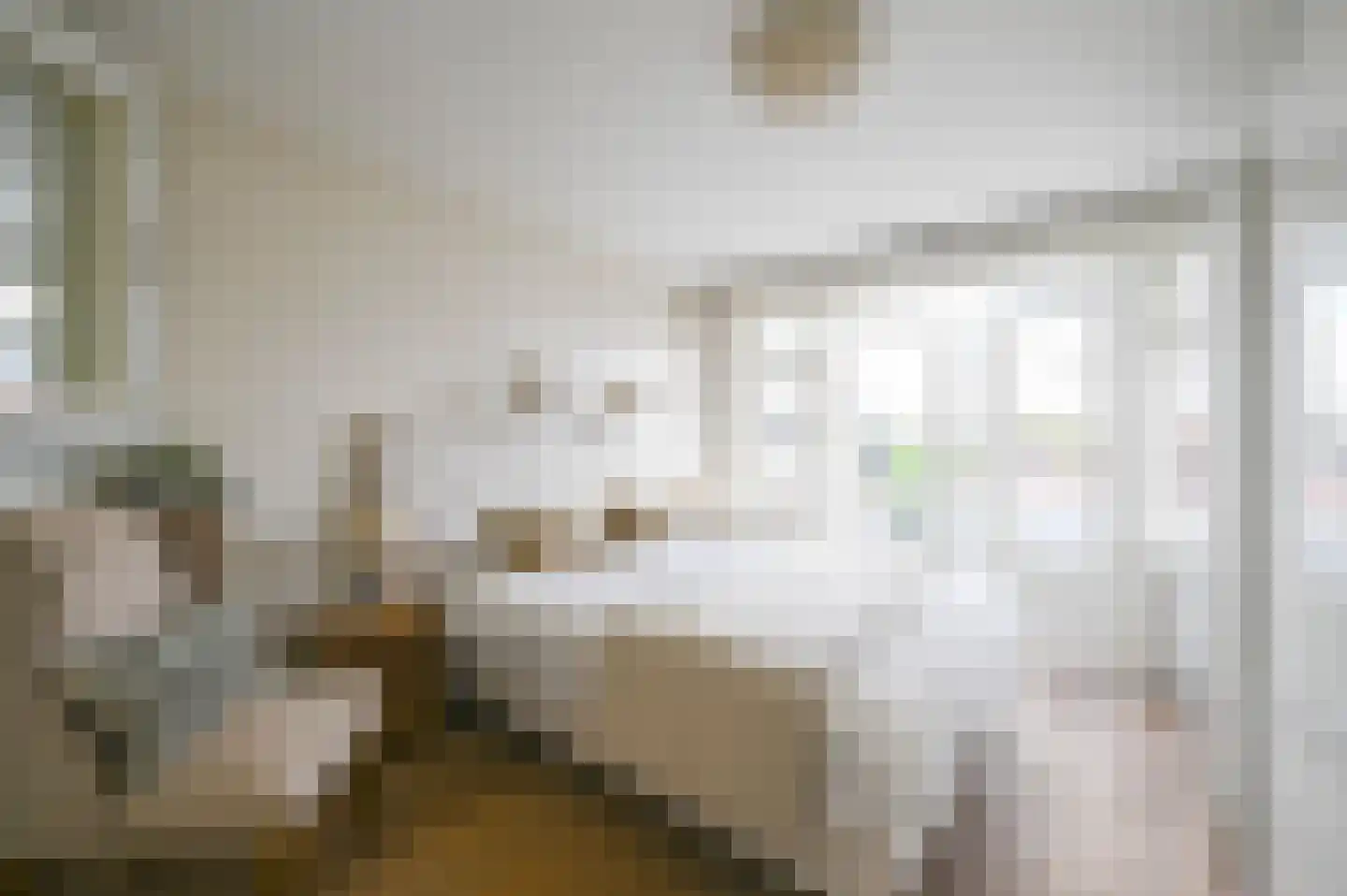 van Schagenstraat 9 A Voorburg thumbnail 29