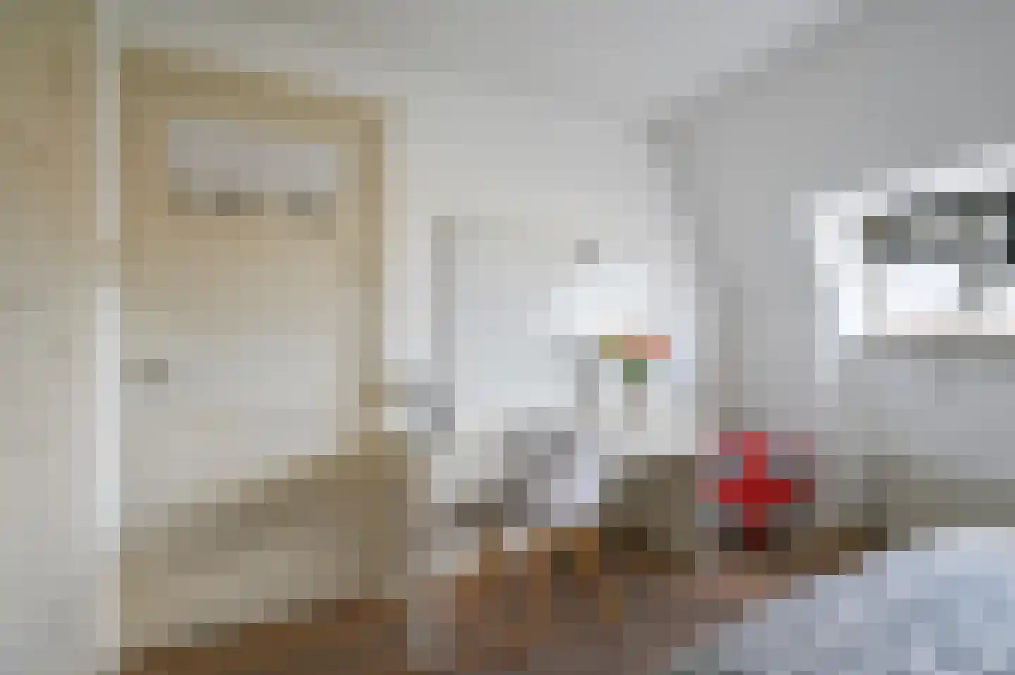 van Schagenstraat 9 A Voorburg thumbnail 35