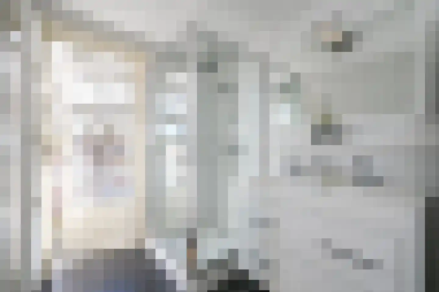 van Schagenstraat 9 A Voorburg thumbnail 37