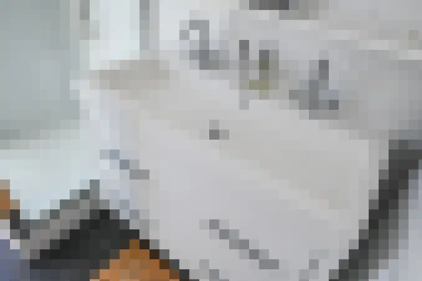 van Schagenstraat 9 A Voorburg thumbnail 38