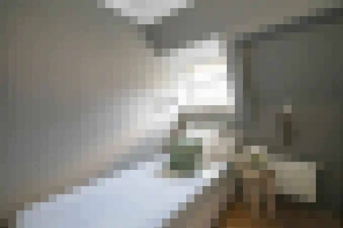 van Schagenstraat 9 A Voorburg thumbnail 41