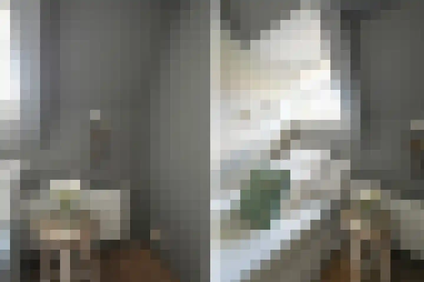van Schagenstraat 9 A Voorburg thumbnail 42