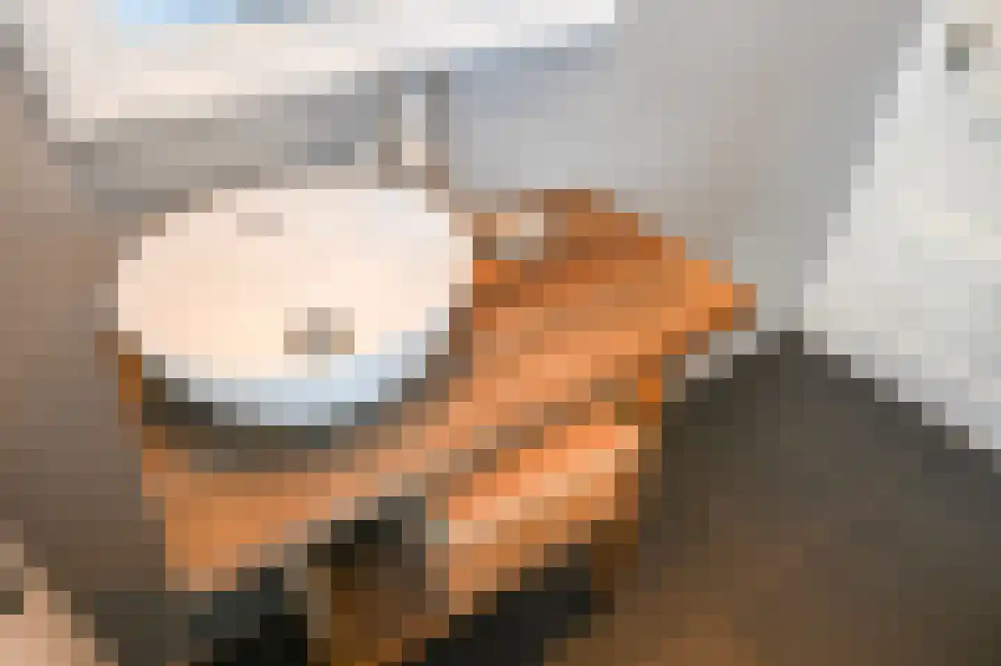 van Schagenstraat 9 A Voorburg thumbnail 45