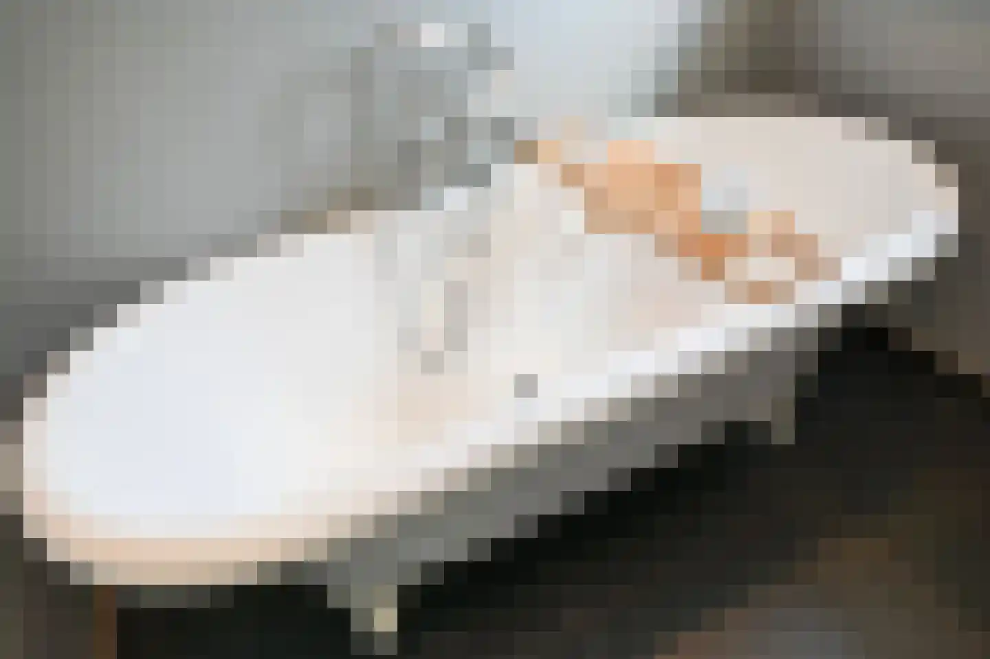 van Schagenstraat 9 A Voorburg thumbnail 46