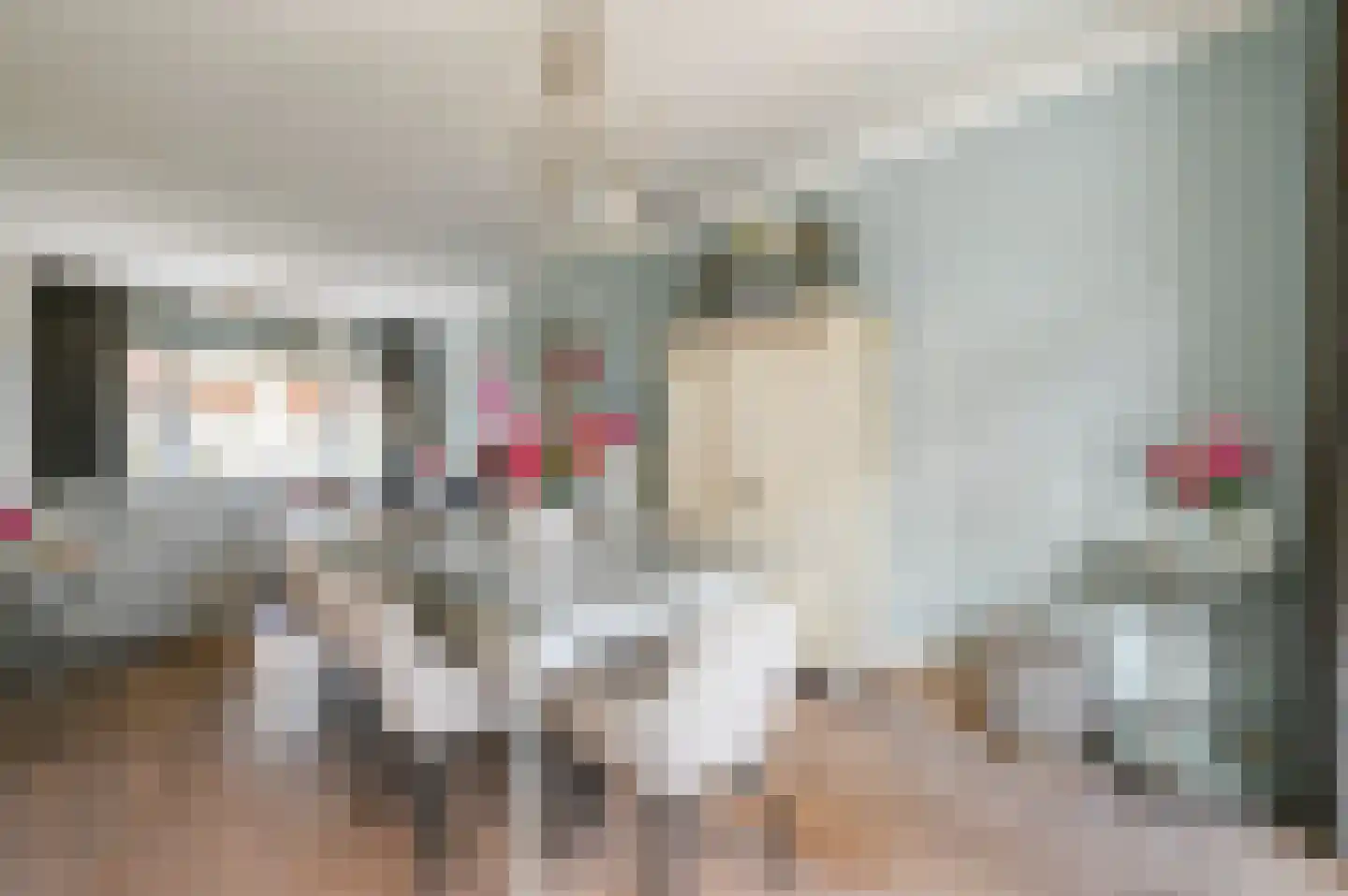 van Schagenstraat 9 A Voorburg thumbnail 5