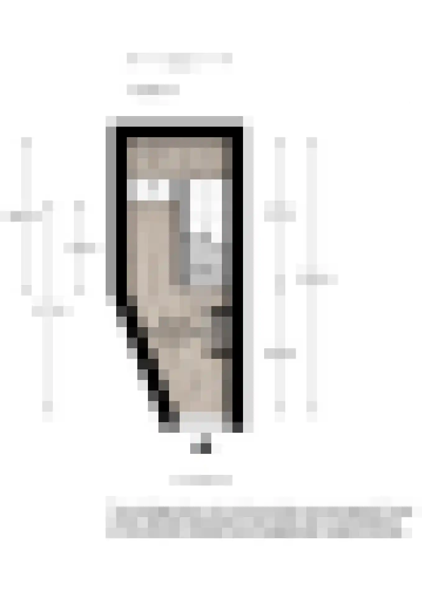 van Schagenstraat 9 A Voorburg thumbnail 55