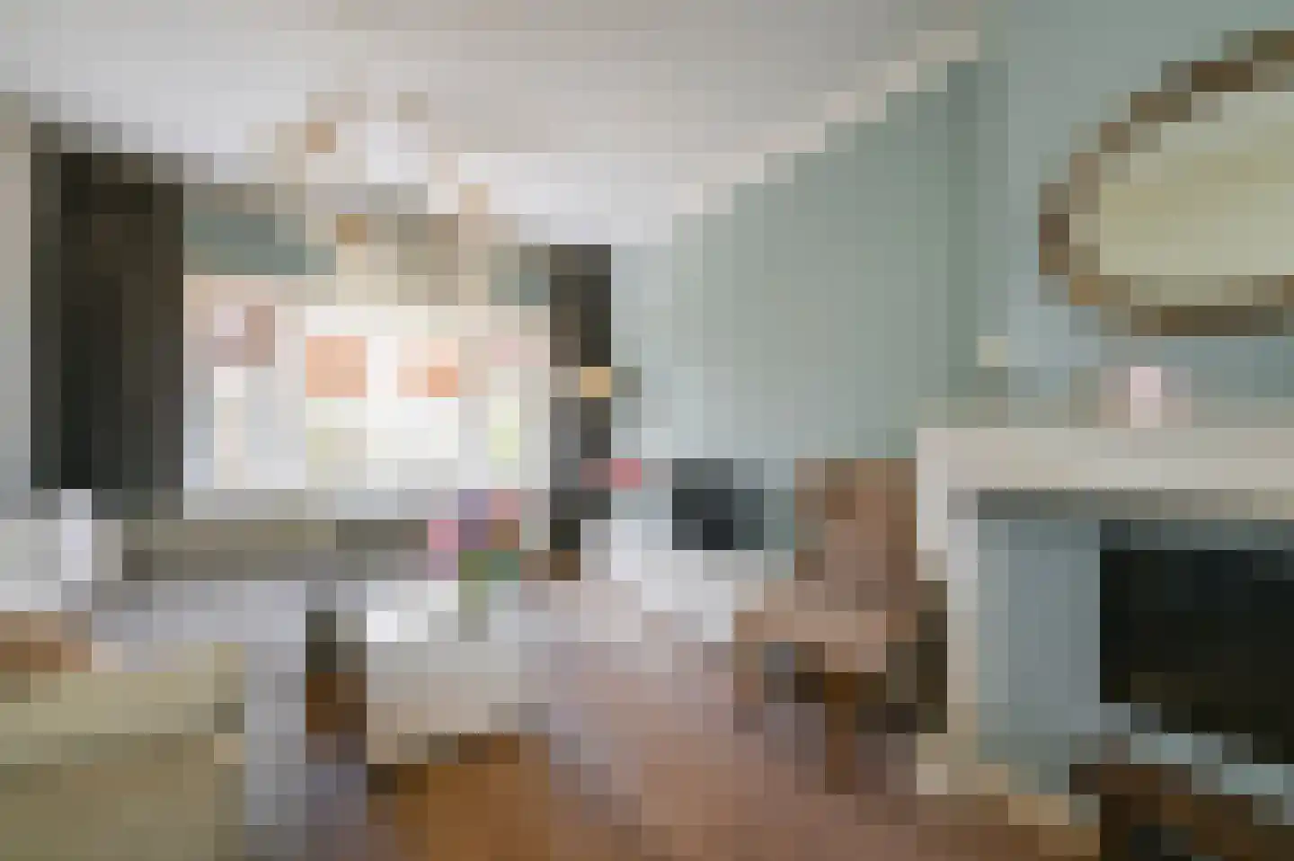 van Schagenstraat 9 A Voorburg thumbnail 6