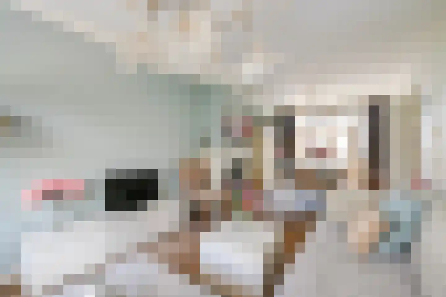 van Schagenstraat 9 A Voorburg thumbnail 8