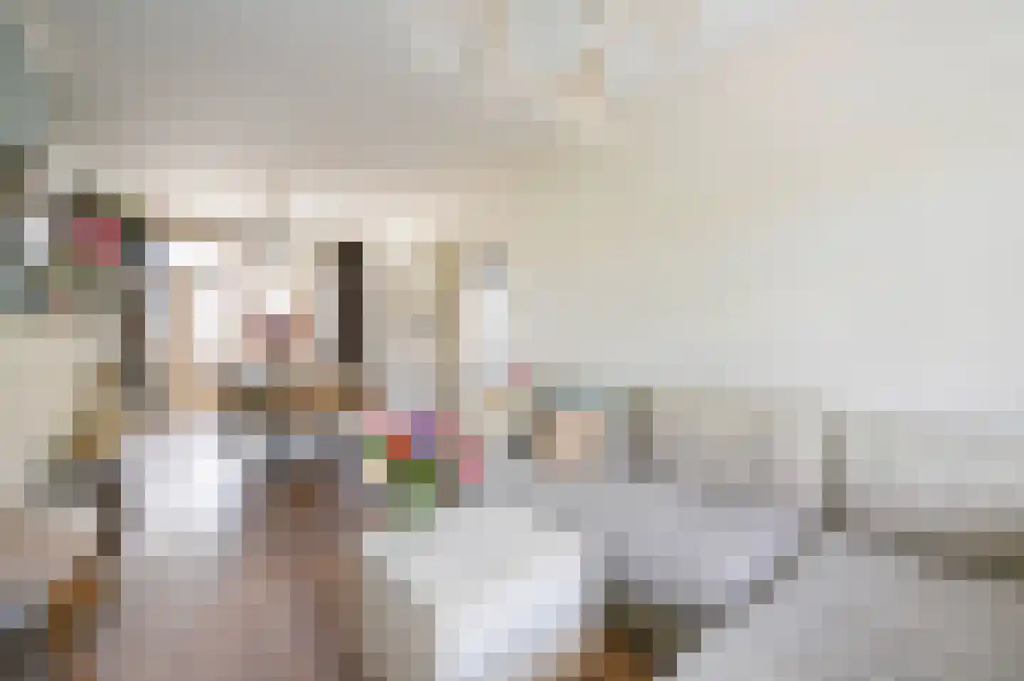 van Schagenstraat 9 A Voorburg thumbnail 9