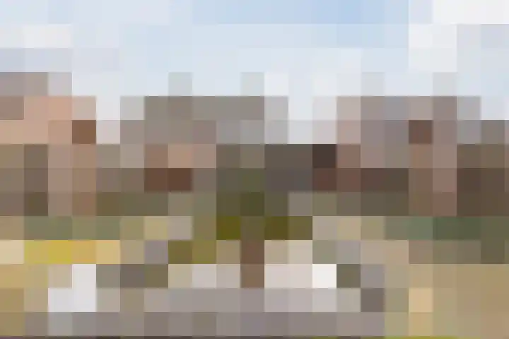 Van Schaiklaan 38 Soerendonk thumbnail 33