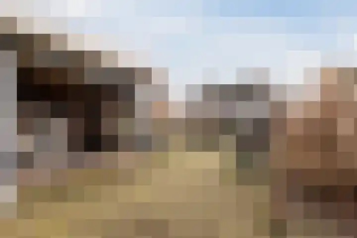 Van Schaiklaan 38 Soerendonk thumbnail 35