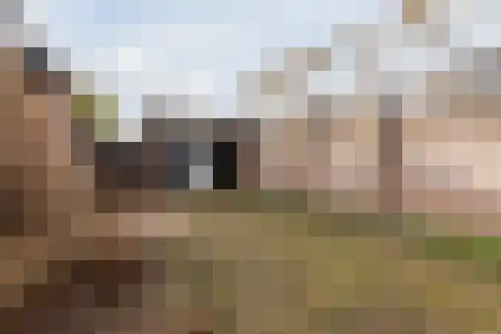 Van Schaiklaan 38 Soerendonk thumbnail 36