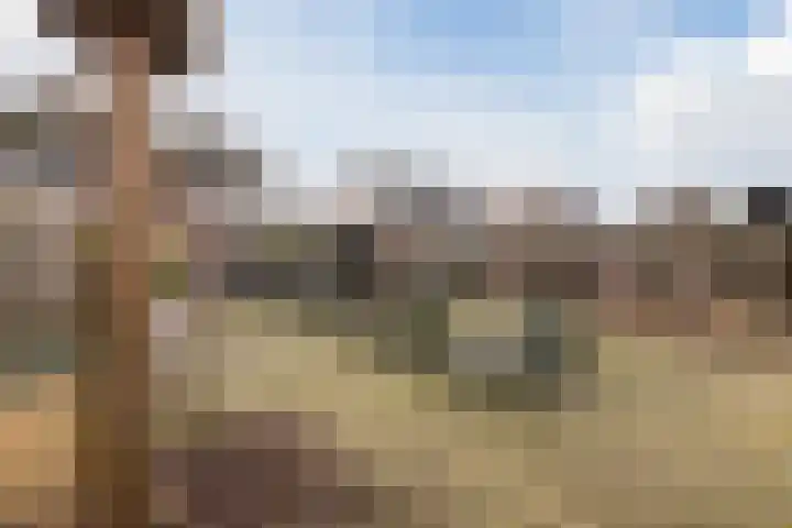 Van Schaiklaan 38 Soerendonk thumbnail 37