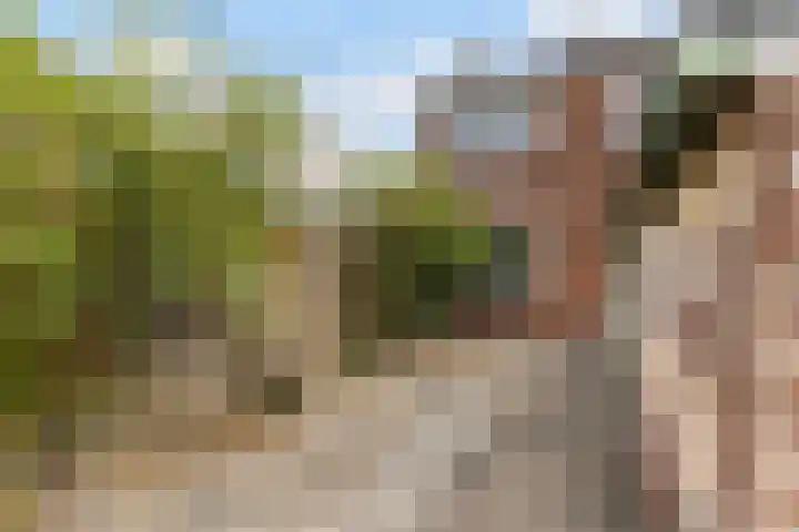 van Schaikstraat 16 Zwijndrecht thumbnail 5