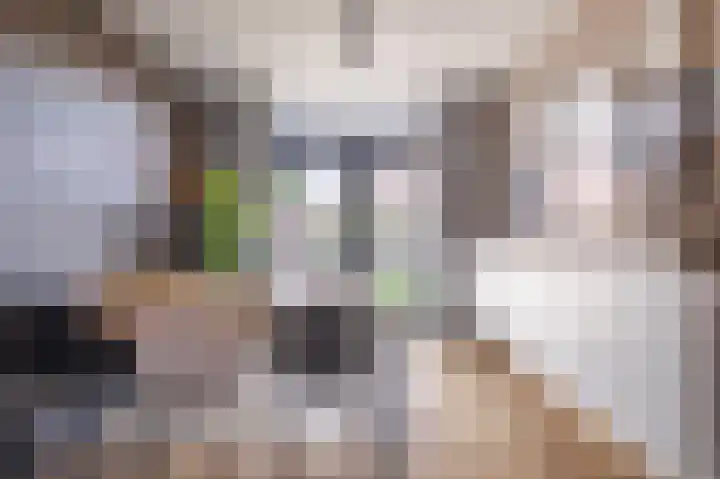 van Schaikstraat 19 Duiven thumbnail 11