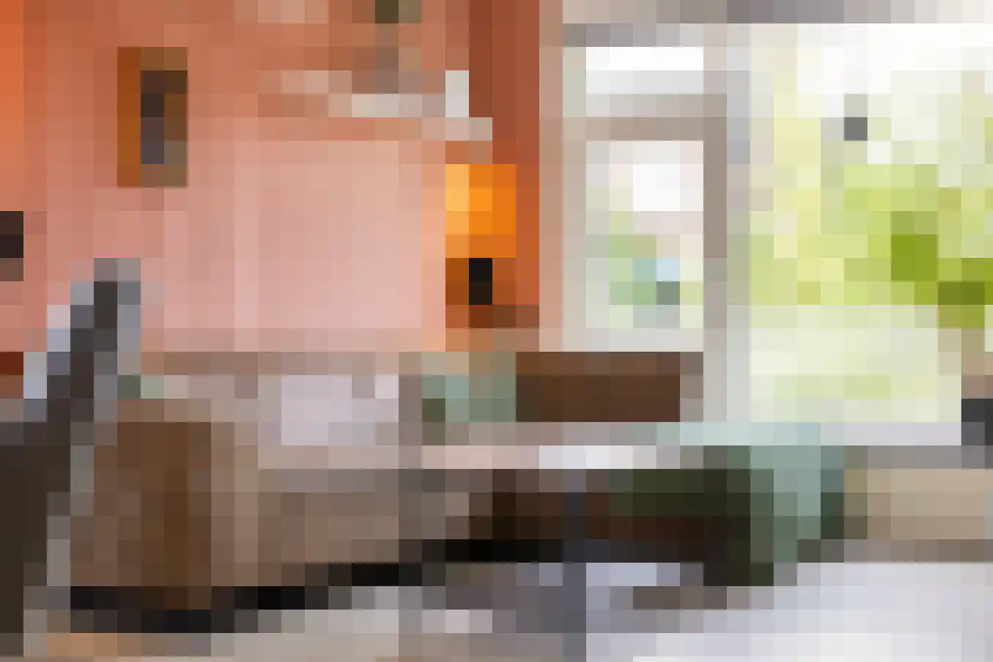 van Schaikstraat 31 Duiven thumbnail 10