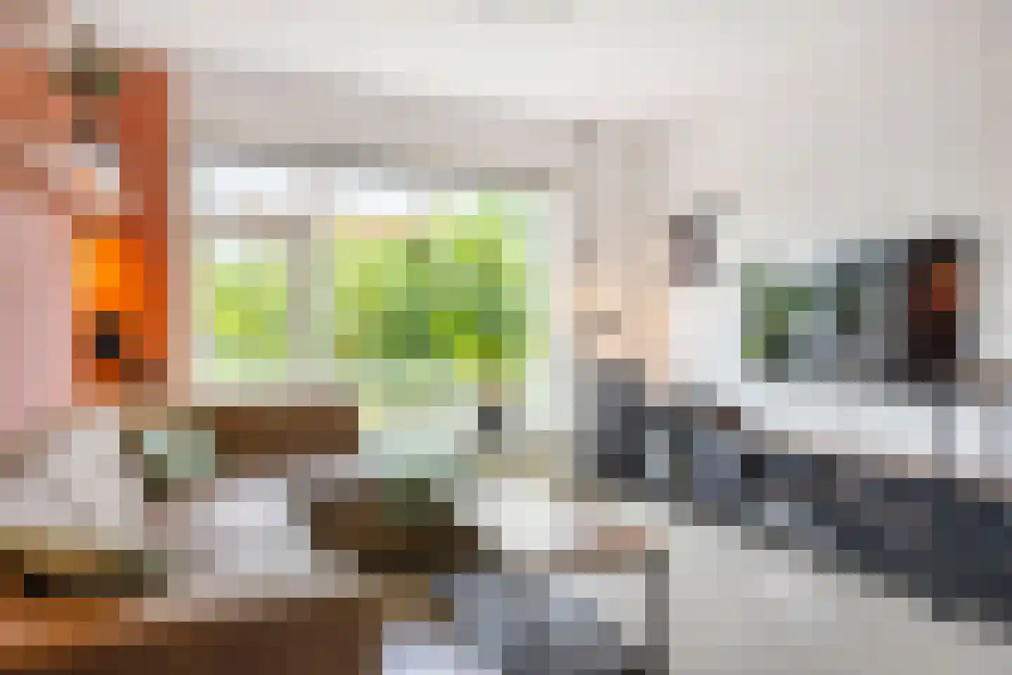 van Schaikstraat 31 Duiven thumbnail 11
