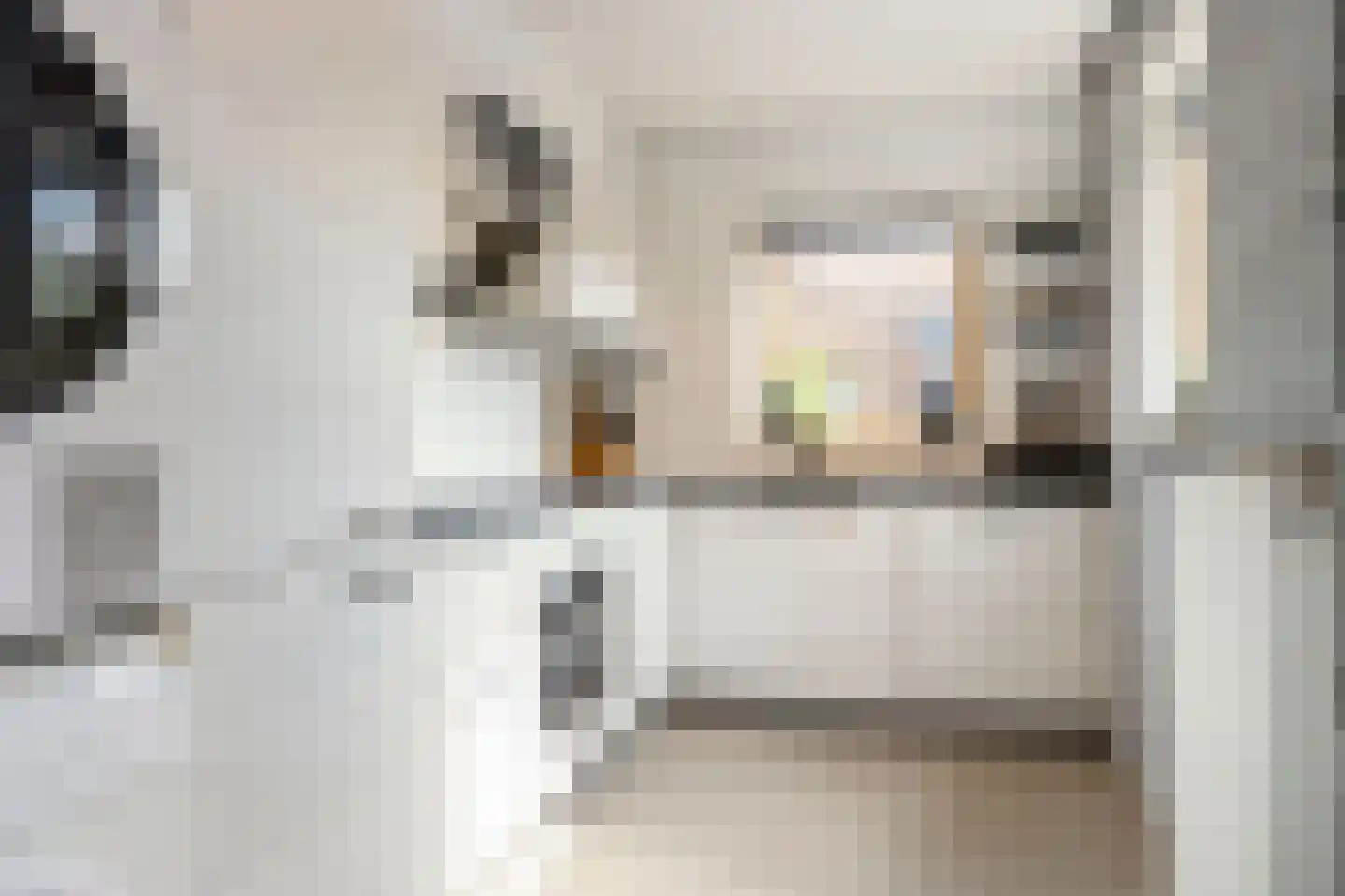 van Schaikstraat 31 Duiven thumbnail 16