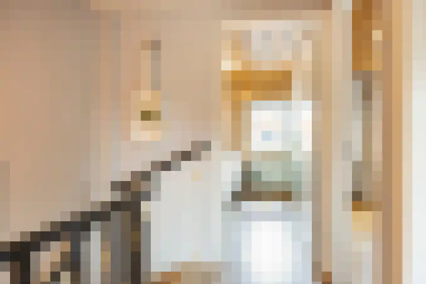 van Schaikstraat 31 Duiven thumbnail 23