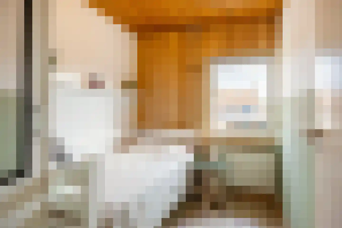 van Schaikstraat 31 Duiven thumbnail 25