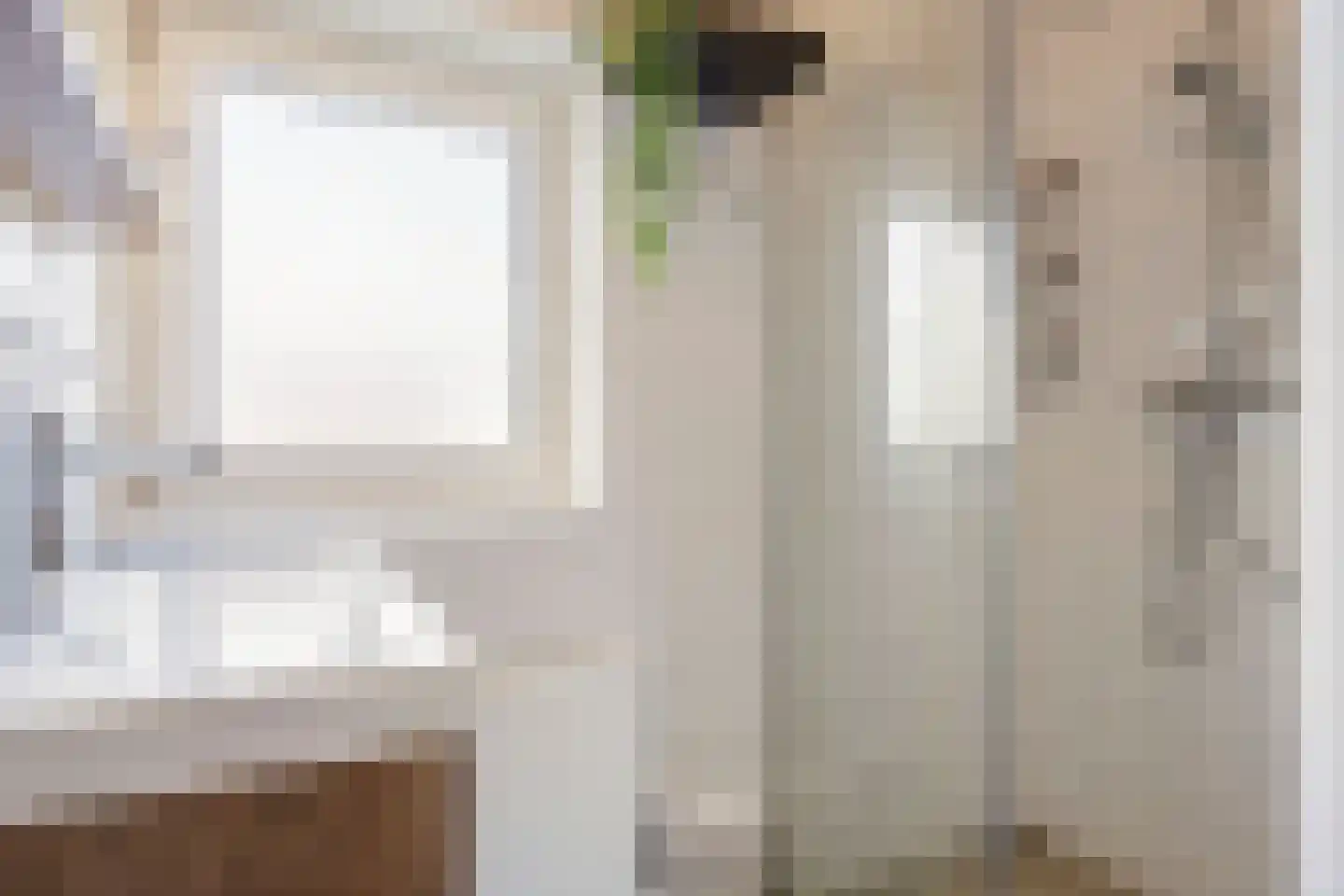 van Schaikstraat 31 Duiven thumbnail 27