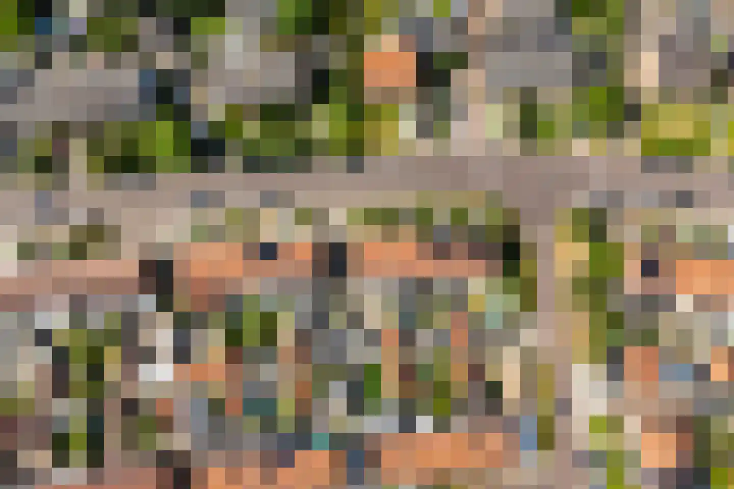 van Schaikstraat 31 Duiven thumbnail 30
