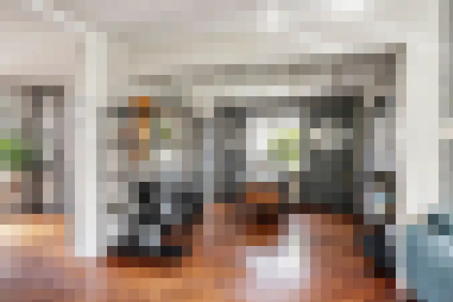 van Schaikstraat 4 Duiven thumbnail 11